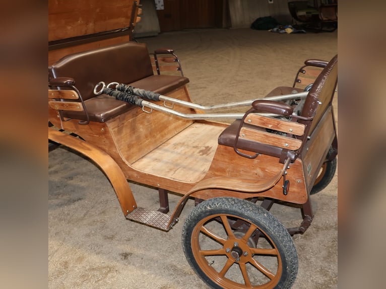 Sawa Freizeitwagen Kutsche Schmid Herdwangen