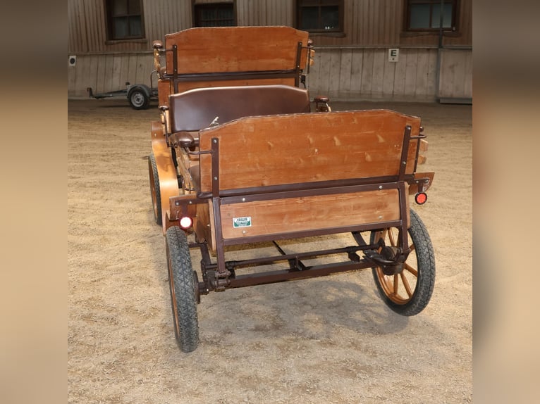 Sawa Freizeitwagen Kutsche Schmid Herdwangen