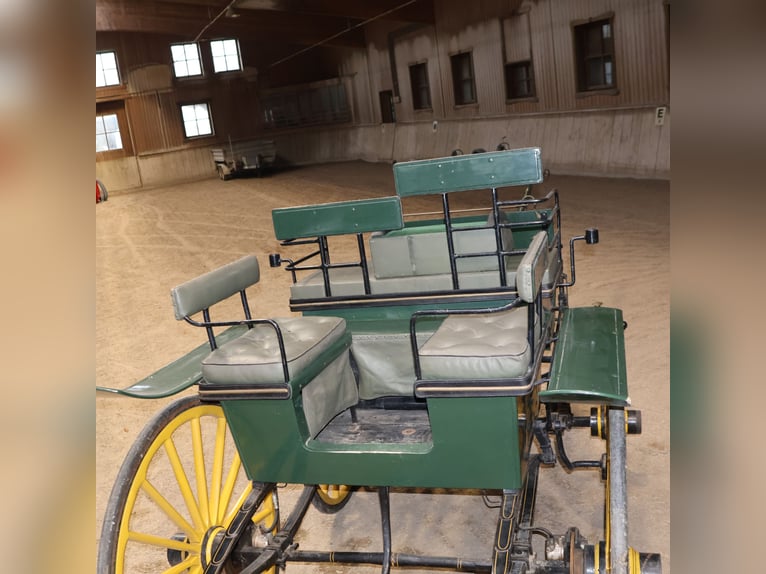 Schwere Wagonette Kutsche E. Wiez Zweispänner Scheibenbremsen