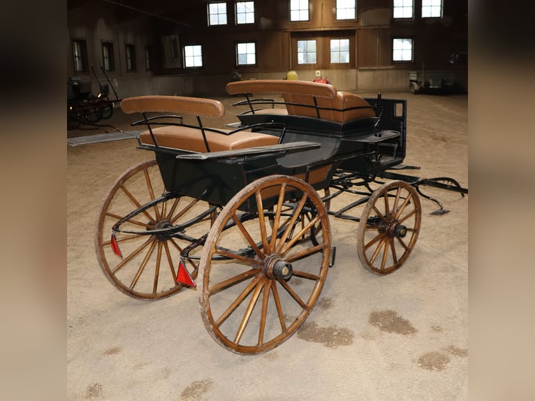 Ungarischer Jagdwagen Pirschwagen Einspänner Leicht Kunstleder