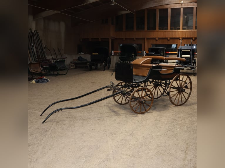 Ungarischer Jagdwagen Pirschwagen Einspänner Leicht Kunstleder