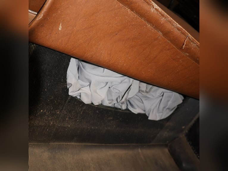 Ungarischer Jagdwagen Pirschwagen Einspänner Leicht Kunstleder