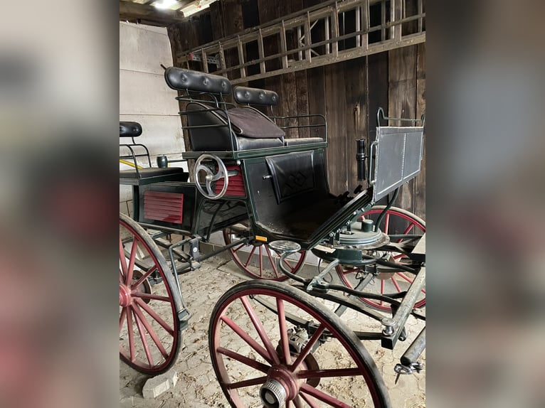 Vierspänner Dressurwagen