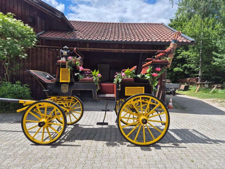 Wagon Harness