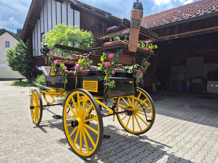 Wagon Harness