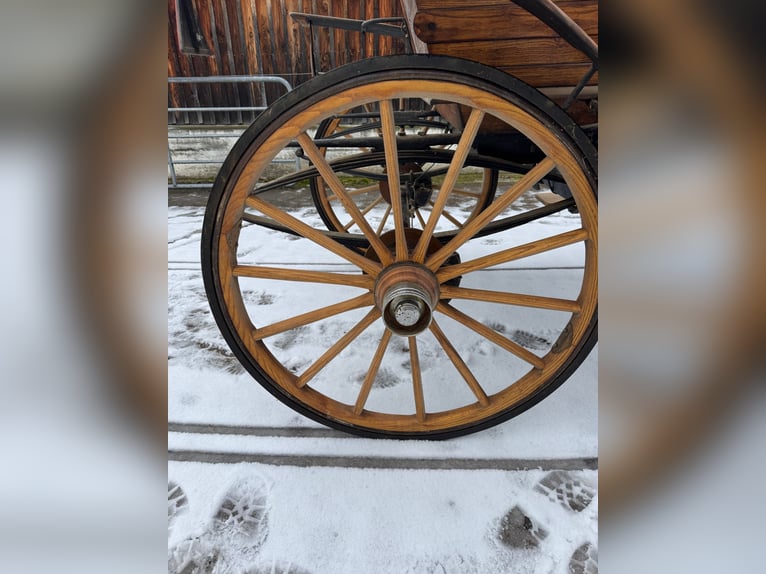 Samodzielny kierowca, 1- do 4-osobowy zaprzęg