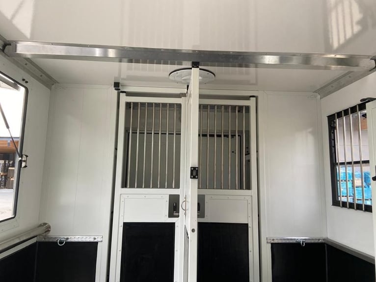 Transporter for horses: Renault Master 2024