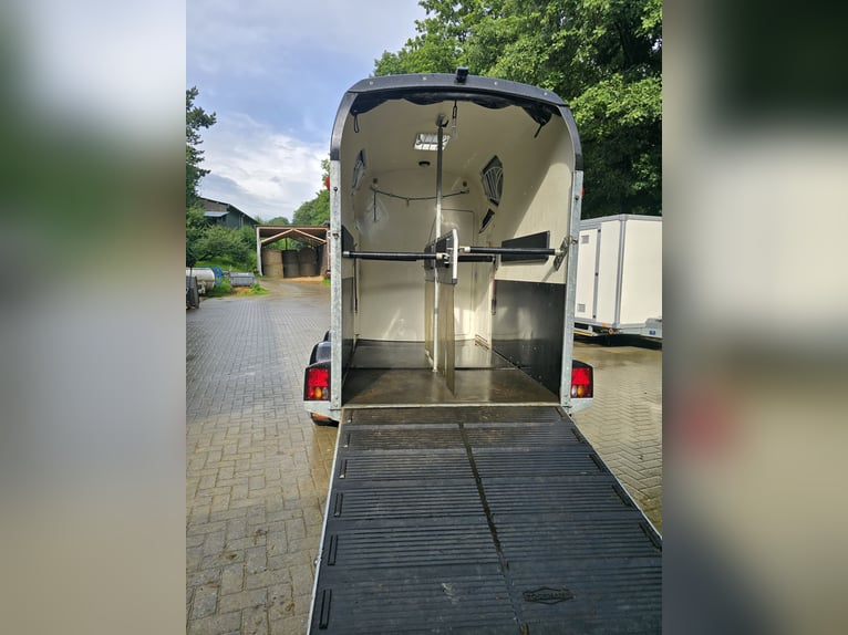 Böckmann Neo L SR schwarz 
