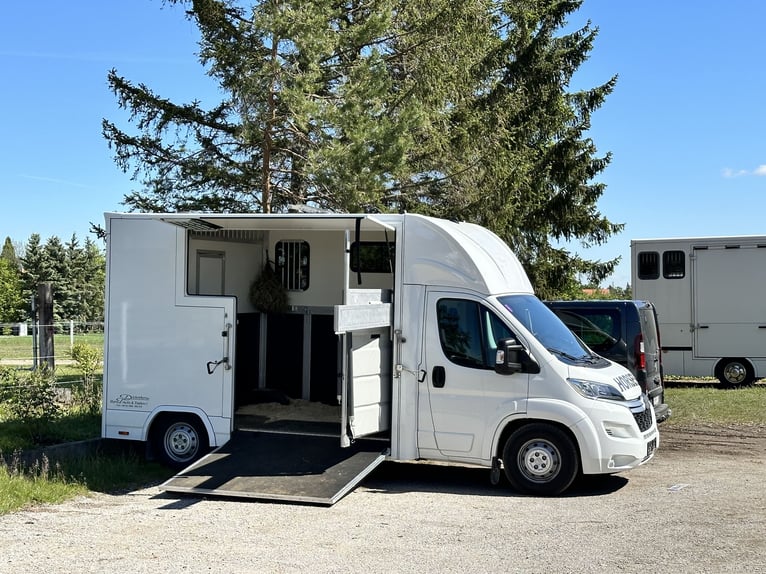 Citroën Jumper Pferdetransporter | nur 4.000 km | BJ 10/2021 | keine NOVA | 3,5 t | 120 kW | Euro 6!