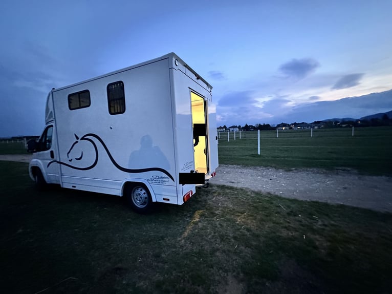 Citroën Jumper Pferdetransporter | nur 4.000 km | BJ 10/2021 | keine NOVA | 3,5 t | 120 kW | Euro 6!
