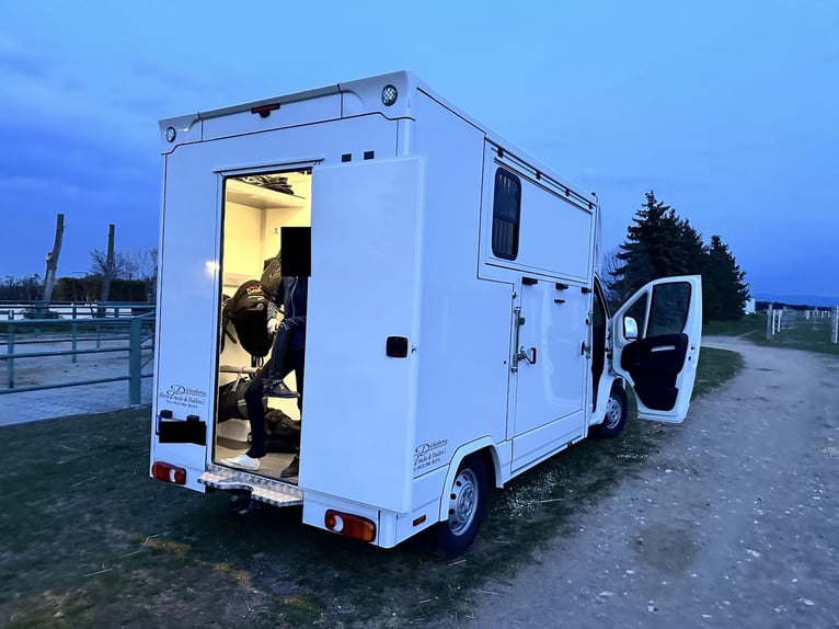 Citroën Jumper Pferdetransporter | nur 4.000 km | BJ 10/2021 | keine NOVA | 3,5 t | 120 kW | Euro 6!