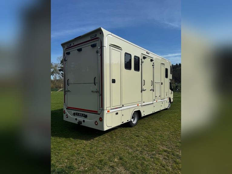 Horse truck Mitsubishi Fuso PRENTKI 2026