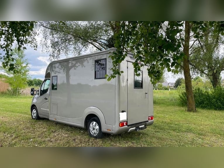 Camion VL renault master stx