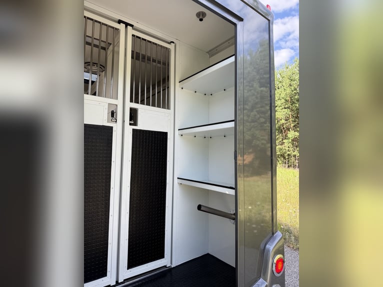 Horsetruck Fiat Ducato 5 seat for stalion