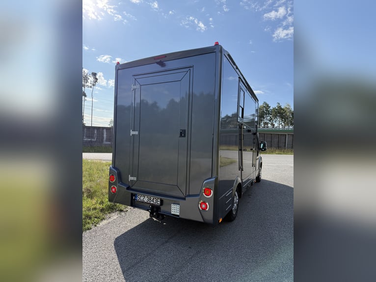 Horsetruck Fiat Ducato 5 seat for stalion