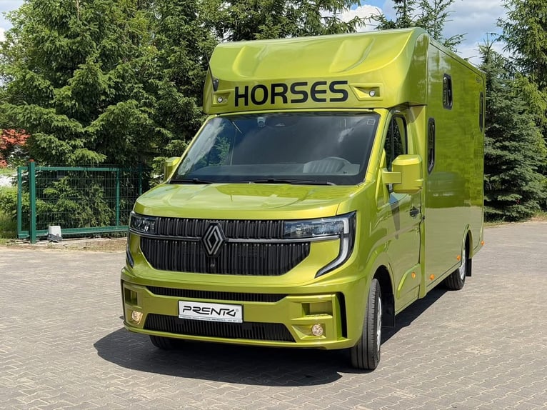 International horse transport