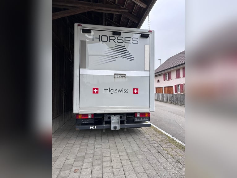Mercedes-Benz Actros 1831 dla 2–3 koni lub do przebudowy na kampera