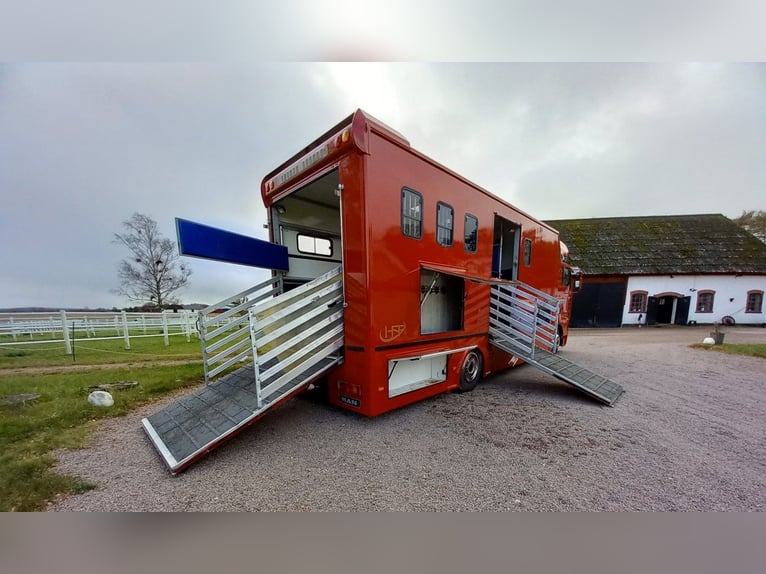 Pferdetransporter Wohnmobil MAN TGA 380PS 6 Pferde lkw Horsetruck Horsecamion Paardenvrachtwagen