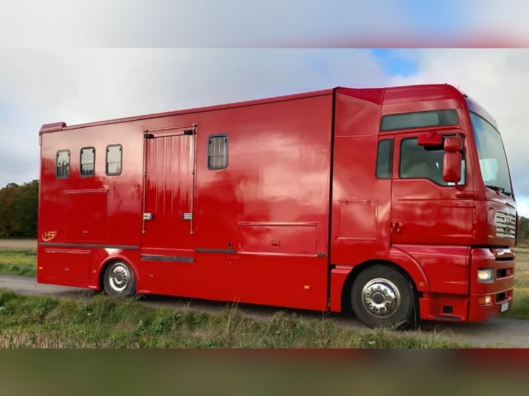 Pferdetransporter Wohnmobil MAN TGA 380PS 6 Pferde lkw Horsetruck Horsecamion Paardenvrachtwagen