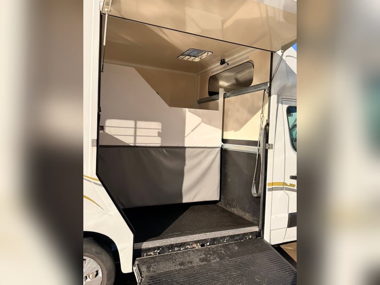 Przyczepa dla koni Renault Master 125 KM z roku 2012