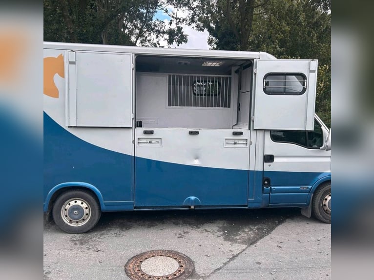 Renault Master II – Wyposażenie dla ogiera