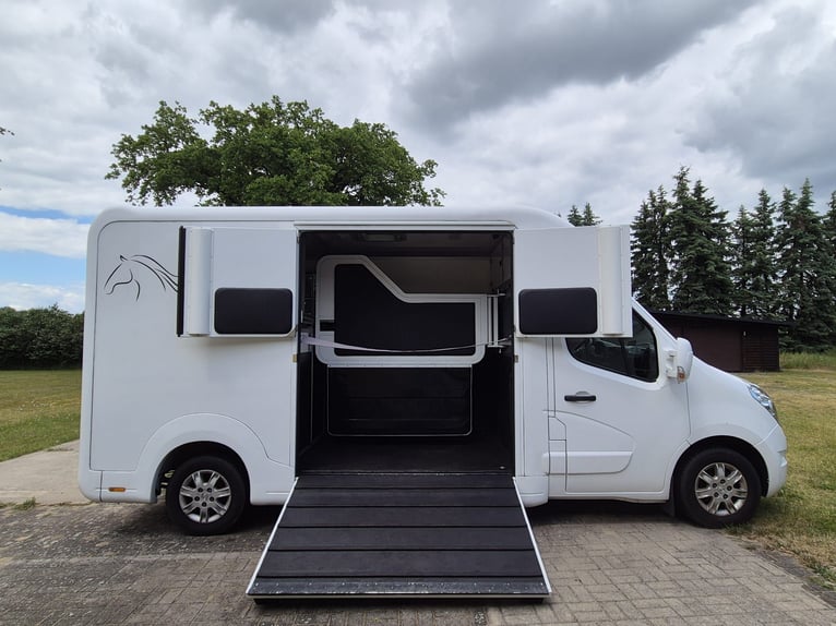 Renault Master STX transporter koni | automatyczna skrzynia biegów | 170 KM | 3,5 t | przebieg 34 70