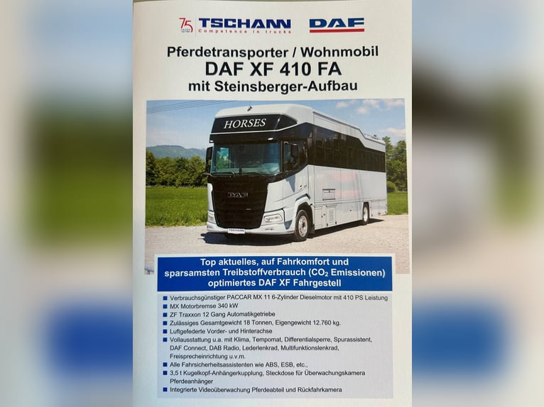 Transporter dla koni DAF XF410 – przyczepa samochodowa z miejscem do spania