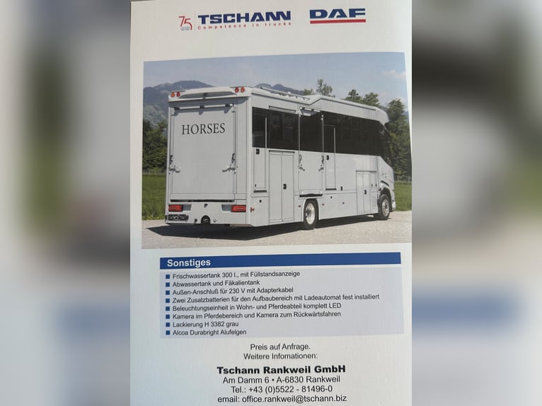 Transporter dla koni DAF XF410 – przyczepa samochodowa z miejscem do spania