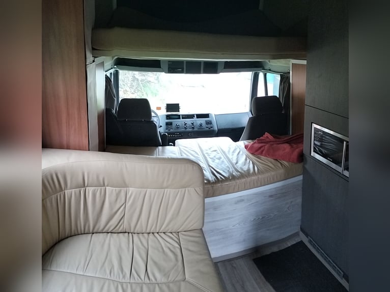 Transporter dla koni / Kamper