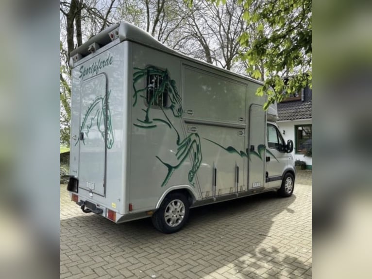 Transporter dla koni / Opel Movano – stan idealny – Böckmann