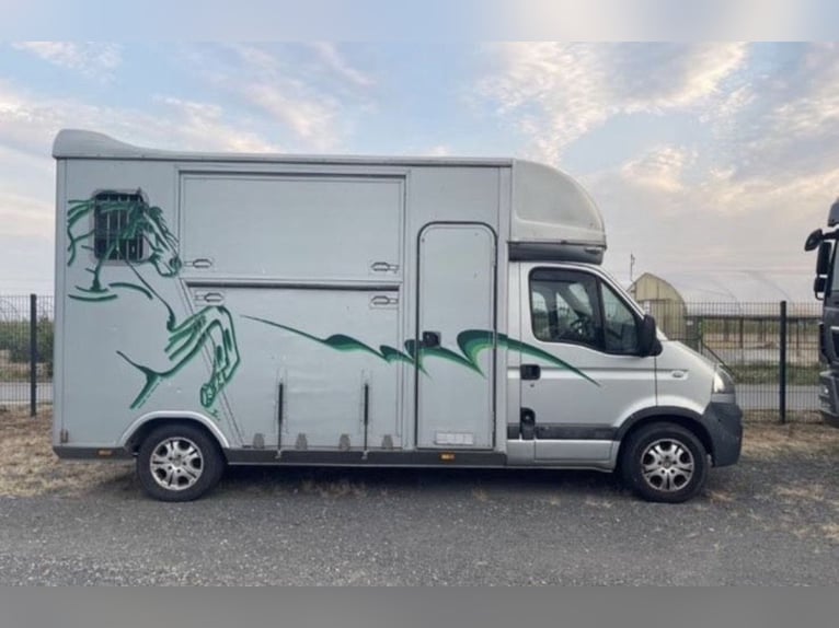 Transporter dla koni / Opel Movano – stan idealny – Böckmann