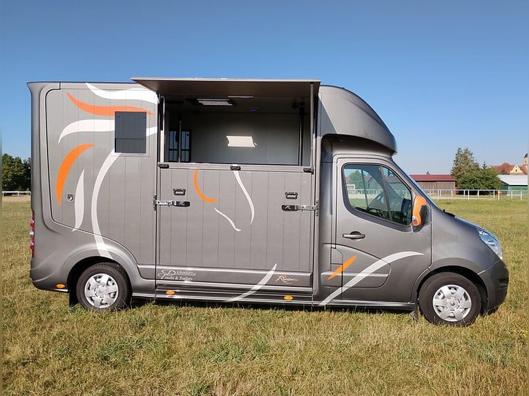 Transporter dla koni Roelofsen z automatyczną skrzynią biegów, przebieg tylko 30 800 km, transporter