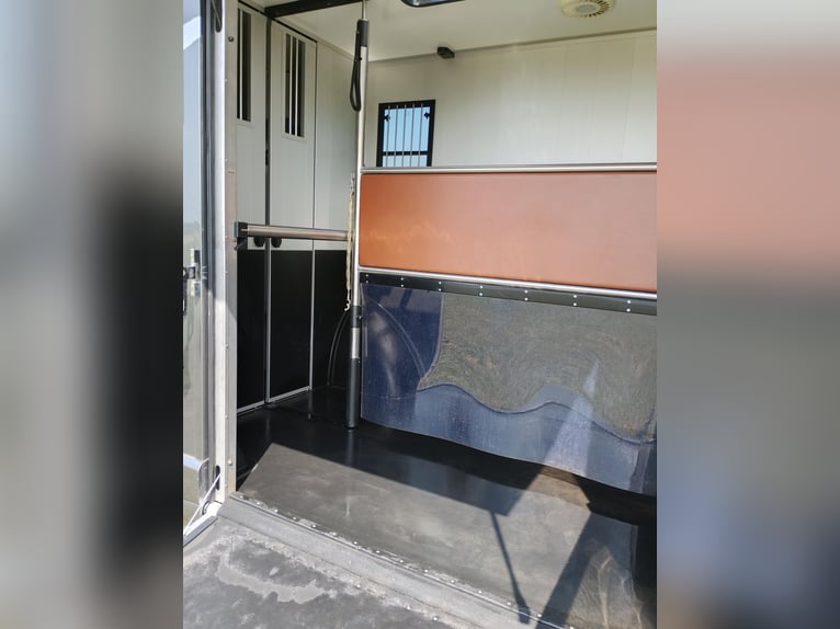 Transporter dla koni Roelofsen z automatyczną skrzynią biegów, przebieg tylko 30 800 km, transporter