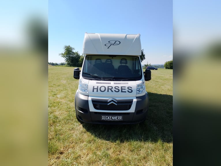 Transporter dla koni z dwoma rampami bocznymi, przebieg tylko 20 500 km, transporter do zwierząt gos
