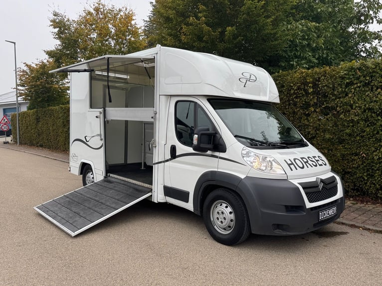 Transporter konny, 2 rampy boczne, tylko 20 500 km, transporter zwierząt, samochód dla koni, horseva
