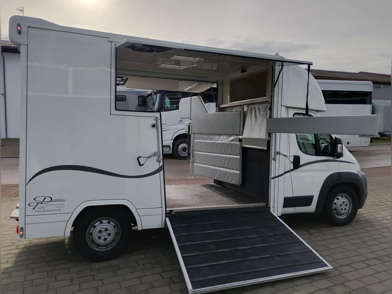 Transporter konny, 2 rampy boczne, tylko 20 500 km, transporter zwierząt, samochód dla koni, horseva