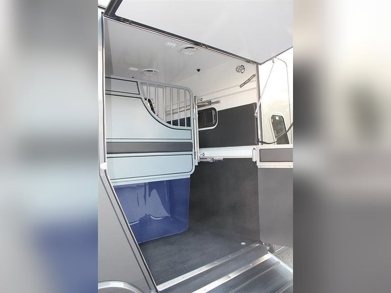 Transporter konny do przewozu koni, 5 miejsc siedzących, 3 miejsca do spania, Renault Master, automa