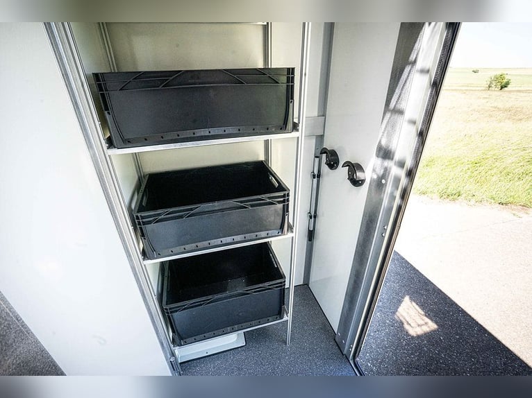 Transporter konny do przewozu koni, Renault Master, automatyczna skrzynia biegów, przewóz zwierząt, 