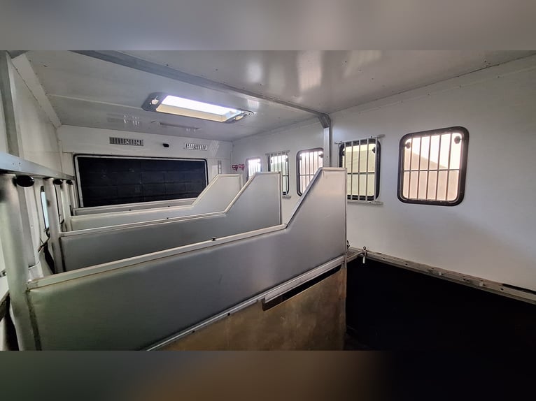 Transporter konny MAN – samochód ciężarowy do przewozu koni z przyczepą mieszkalną, na 4 konie