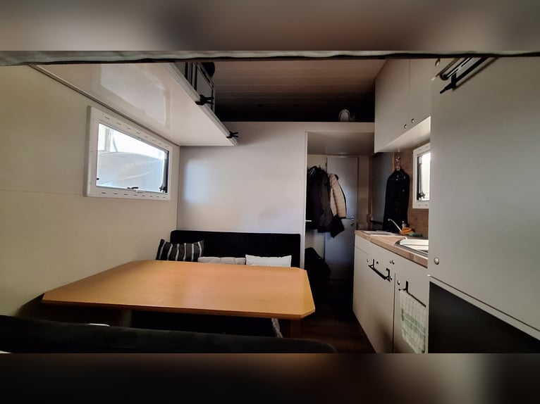 Transporter konny MAN – samochód ciężarowy do przewozu koni z przyczepą mieszkalną, na 4 konie