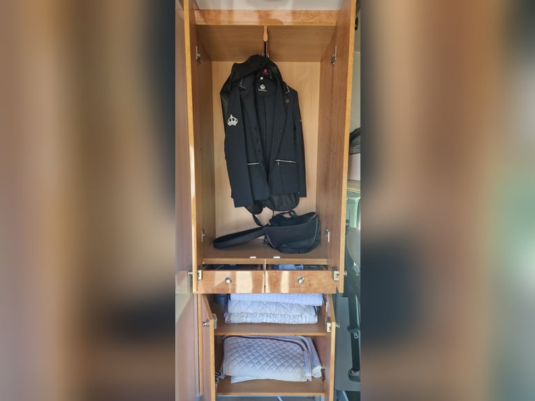 Wóz konny do sprzedaży