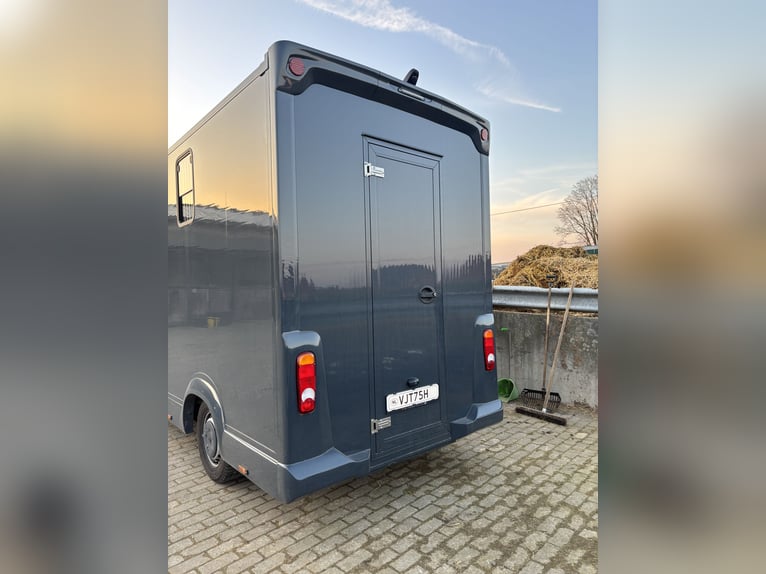 Wóz konny Renault Master z automatyczną skrzynią biegów