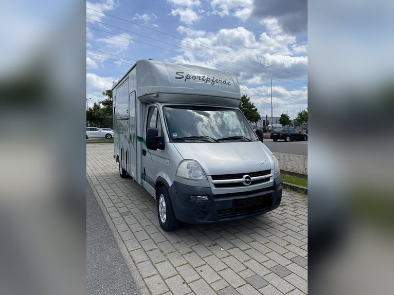 Böckmann przyczepa transportowa dla koni
