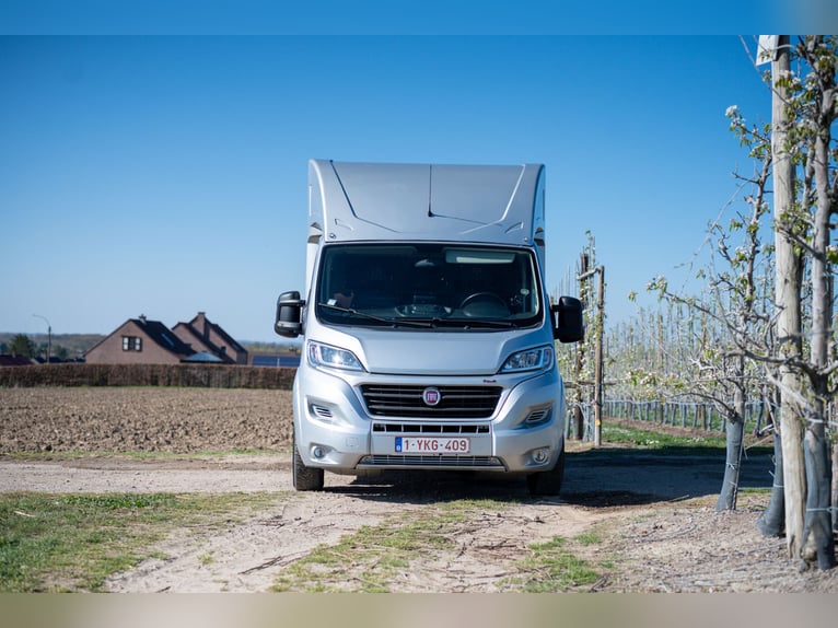 FIAT - DUCATO (2020)