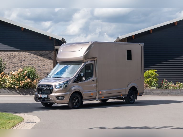 Ford Roelofsen Parados Sport, dwustanowiskowy transporter dla koni, wersja Deluxe - automatyczna skr