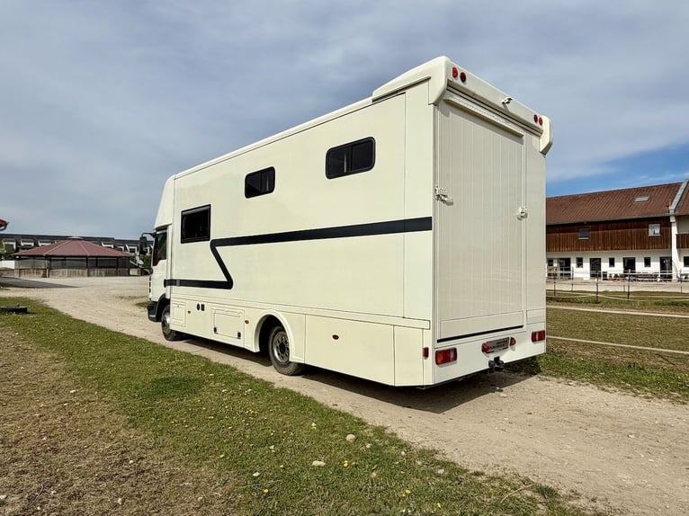 MAN 8.180, profesjonalny transportowiec koni Steinsberger, przeznaczony na 4 konie, z kabiną mieszka
