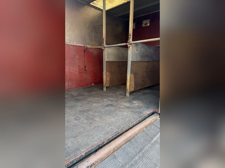 Mercedes 814 transporter – na 6 koni – klasyczny samochód z badaniem technicznym ważnym do 2026 roku