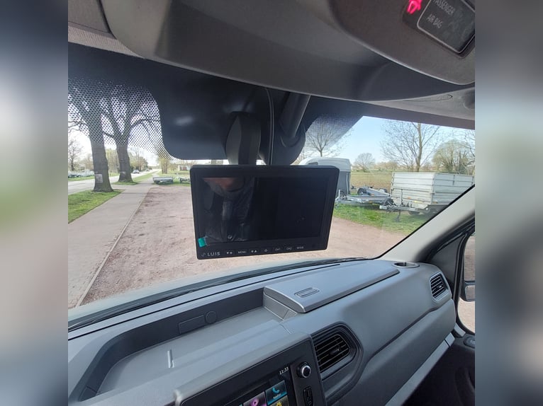 MSG Pferdetransporter Renault Master Stablehopper NEU
