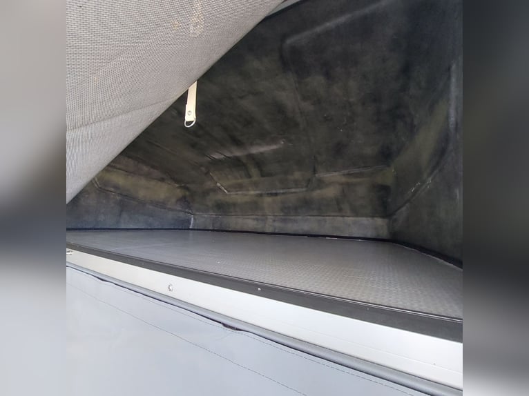 MSG Pferdetransporter Renault Master Stablehopper NEU