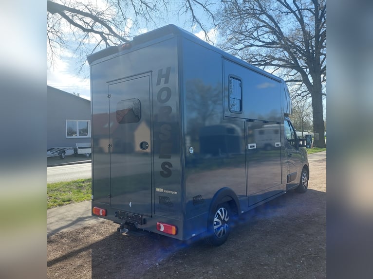 MSG Pferdetransporter Renault Master Stablehopper NEU